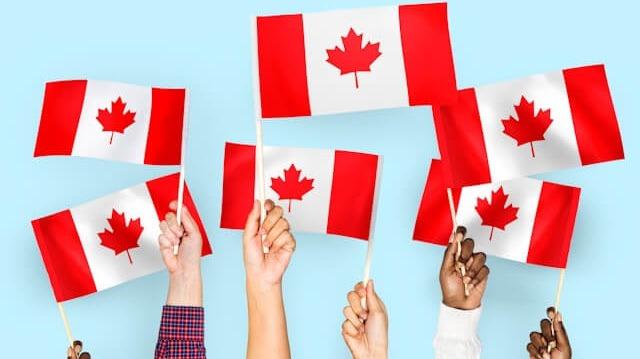 Curator Lifestyle courtesy of Unsplash